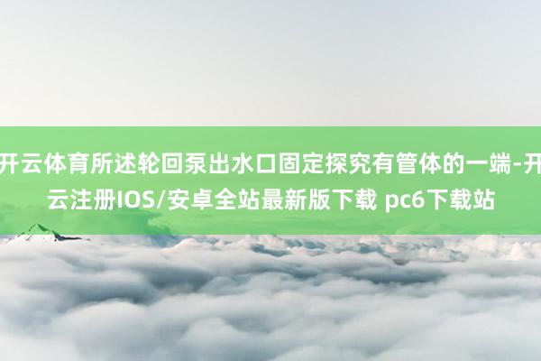 开云体育所述轮回泵出水口固定探究有管体的一端-开云注册IOS/安卓全站最新版下载 pc6下载站