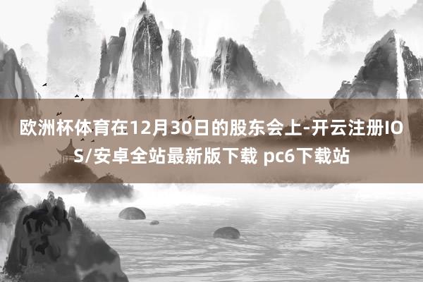 欧洲杯体育　　在12月30日的股东会上-开云注册IOS/安卓全站最新版下载 pc6下载站