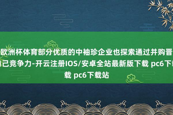 欧洲杯体育部分优质的中袖珍企业也探索通过并购晋升自己竞争力-开云注册IOS/安卓全站最新版下载 pc6下载站